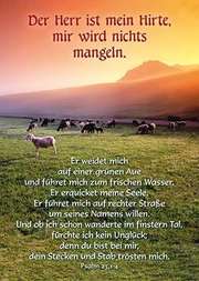 Bild 01